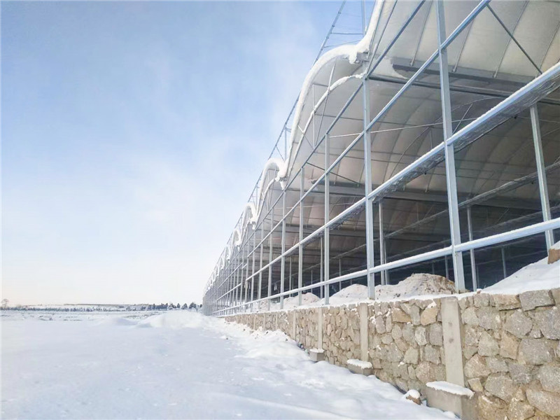 連棟蔬菜薄膜大棚